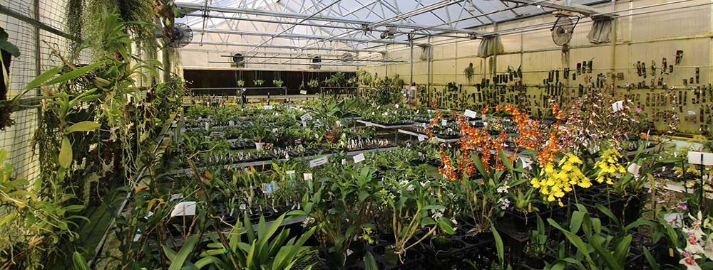 green-house-panorama.jpg